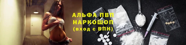 прущие крисы Новозыбков