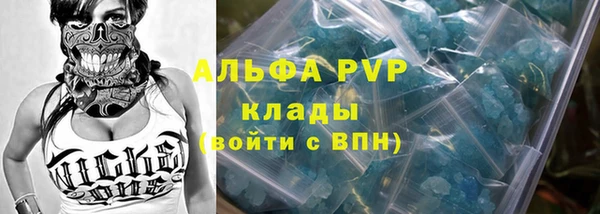 прущие крисы Новозыбков