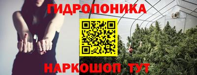 соль ск Канаш