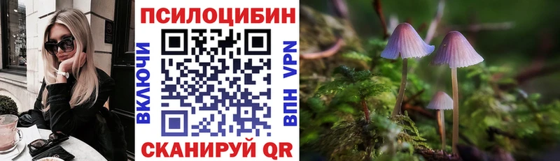 kraken ссылки  Лиски  Галлюциногенные грибы MAGIC MUSHROOMS  наркота 